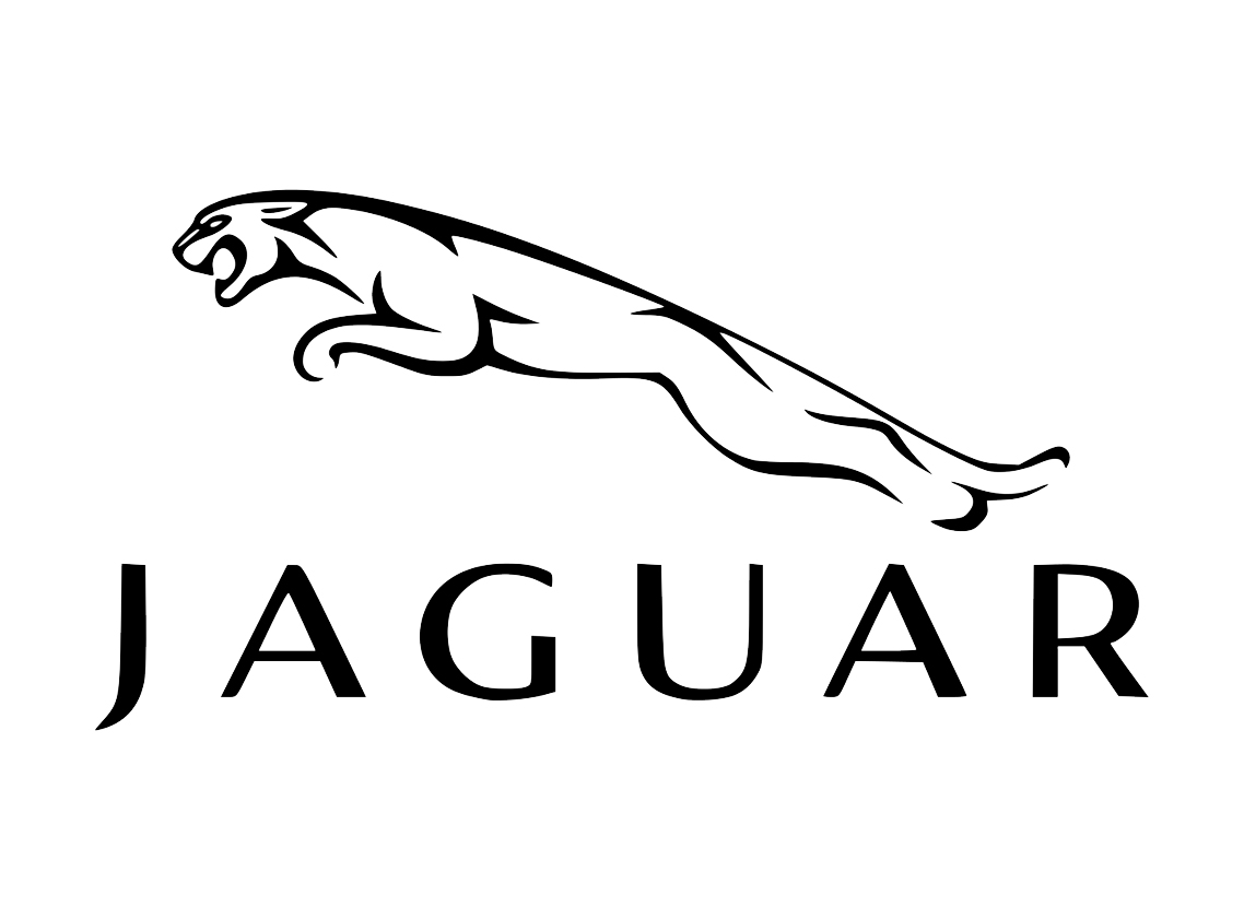 Jaguar Jaguar