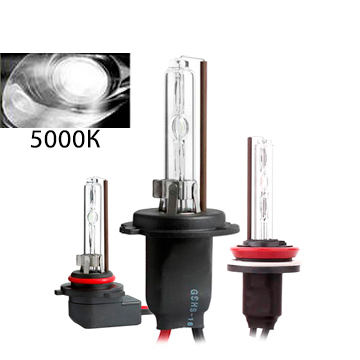 ����� 5000�