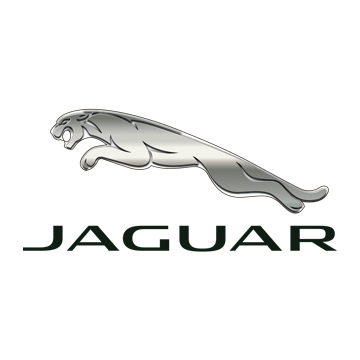 Jaguar Jaguar