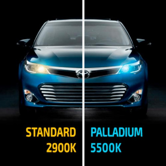 ���������� ����� �B4 MTF Palladium 5500K